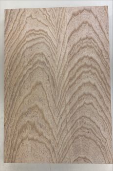Preview: Body Swamp Ash, 1-pc., Unique Piece #186